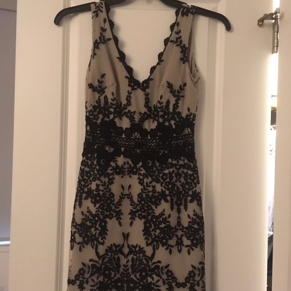 Cream and Black Lace Detail Cocktail Dress